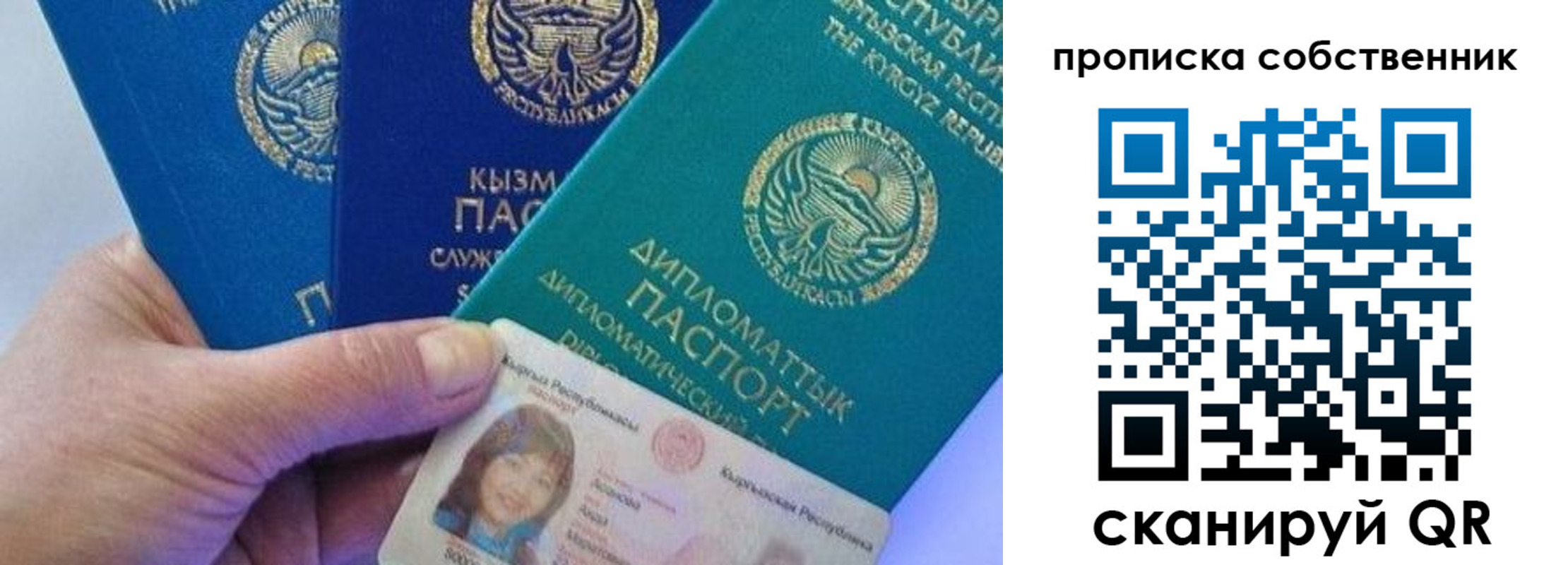 найти адрес прописки в Барыше